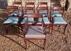 260120189 19th Century Regency Mahogany Dining Chairs Single 31h 18w 20d 17½h carver 31h 20w 21d wrong height _11.JPG